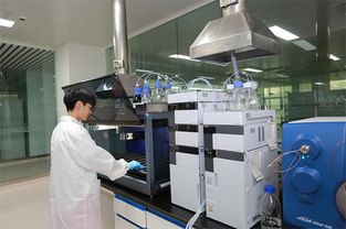 郑明明透明工厂 敞开大门，信息服务业务的透明化革新